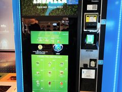 -米兰马尔彭萨国际机场