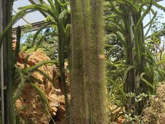 -南通洲际绿博园