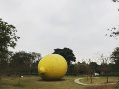 -顺峰山公园