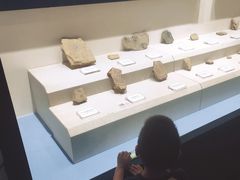 -辽宁古生物博物馆