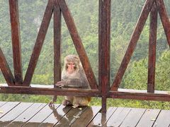 -重庆云阳龙缸景区