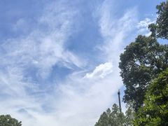 -昆山城市生态森林公园