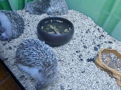 -台州海洋世界