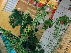 -九田家黑牛烤肉料理·自助(洪洞县城市花园店)