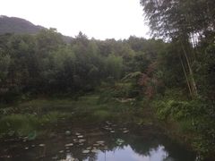 -仙店农庄(湖景农庄餐厅)