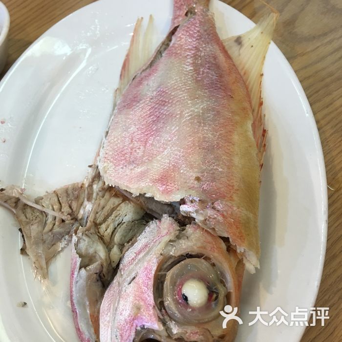 棉花鱼                 sjywzh           sjywzh           sjywzh