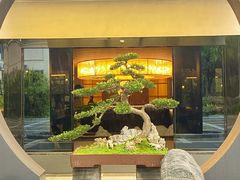 -椿杨樘·明康泡浴养生馆(重庆店)