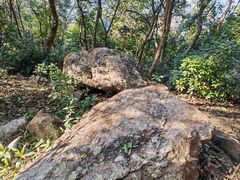 -梧桐山风景名胜区