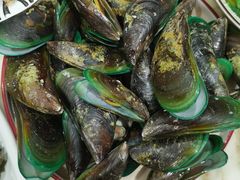 -OLD TREE老树咖啡·西餐厅(台山人工湖店)