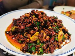 大方辣椒炒板筋-树厨贵州菜(大十字店)