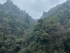 -青城山