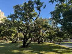 -四海公园(南山区)