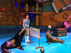 -烟台海昌鲸鲨海洋公园