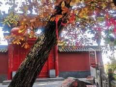 -终南山南五台景区