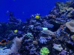 -成都浩海立方海洋公园