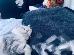 -佳雯宠物医院·皮肤科·内外科(春晓路分院)