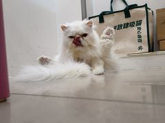 -佳雯宠物医院·皮肤科·内外科(春晓路分院)