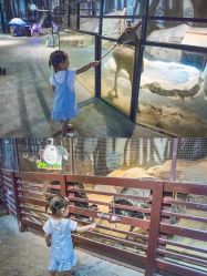 -酷嗒动物文化乐园(cutezoo西溪乐天城店)