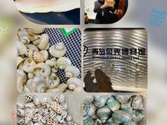 -青岛贝壳博物馆