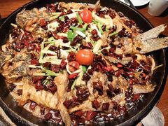 -老板恋上鱼(高新万达店)