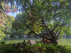 -东莞市可园博物馆