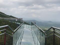 -呀诺达热带雨林
