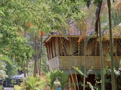 -西双版纳傣族园