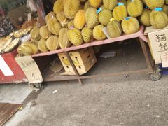 -红星农博物流中心