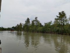 -池杉湖湿地公园