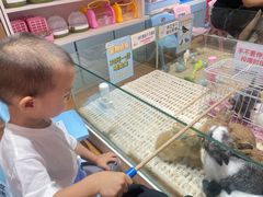 -鹏欣水游城