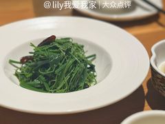 木姜子油拌苗菜-庆春朴门
