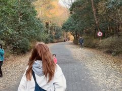 -上海海湾国家森林公园