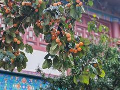 -华清宫景区