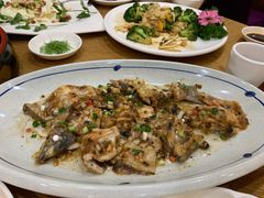-寻味顺德·南记酒家·传统顺德菜·鱼生(广源路店)