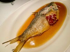 鲥鱼-夜上海(新天地店)