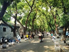 -北京国子监胡同