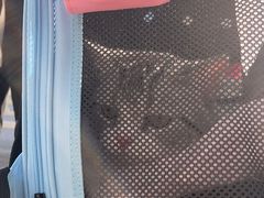 -艾贝尔宠物医院·24H转诊中心·肿瘤猫专科(江宁双龙店)