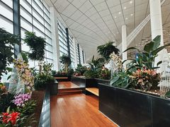 -郑州新郑国际机场-T2航站楼