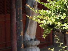 -兴教寺