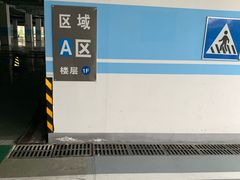 -上海海昌海洋公园-停车场