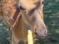 -野鸭湖国家湿地公园