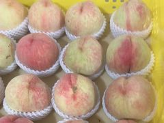 -老袁家蜜桃农场·阳山水蜜桃