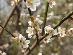 -中国移动南方基地