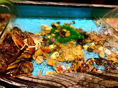 -汉阳天河电影城(王家湾店)