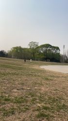 -CD视觉婚纱摄影