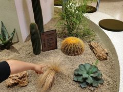 -OUR Bakery(SKP-S店)