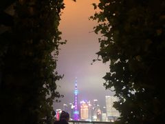 -顶层酒吧ROOF(上海艾迪逊酒店)