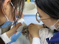 -美联众合动物医院·24h转诊中心