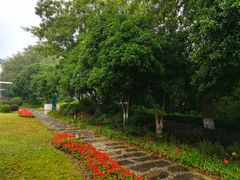 -上海市保健医疗中心(华东疗养院)