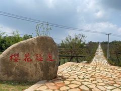 -锄山村